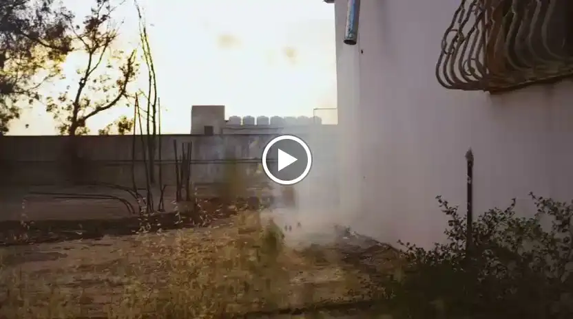 Backyard Brew – photo 2