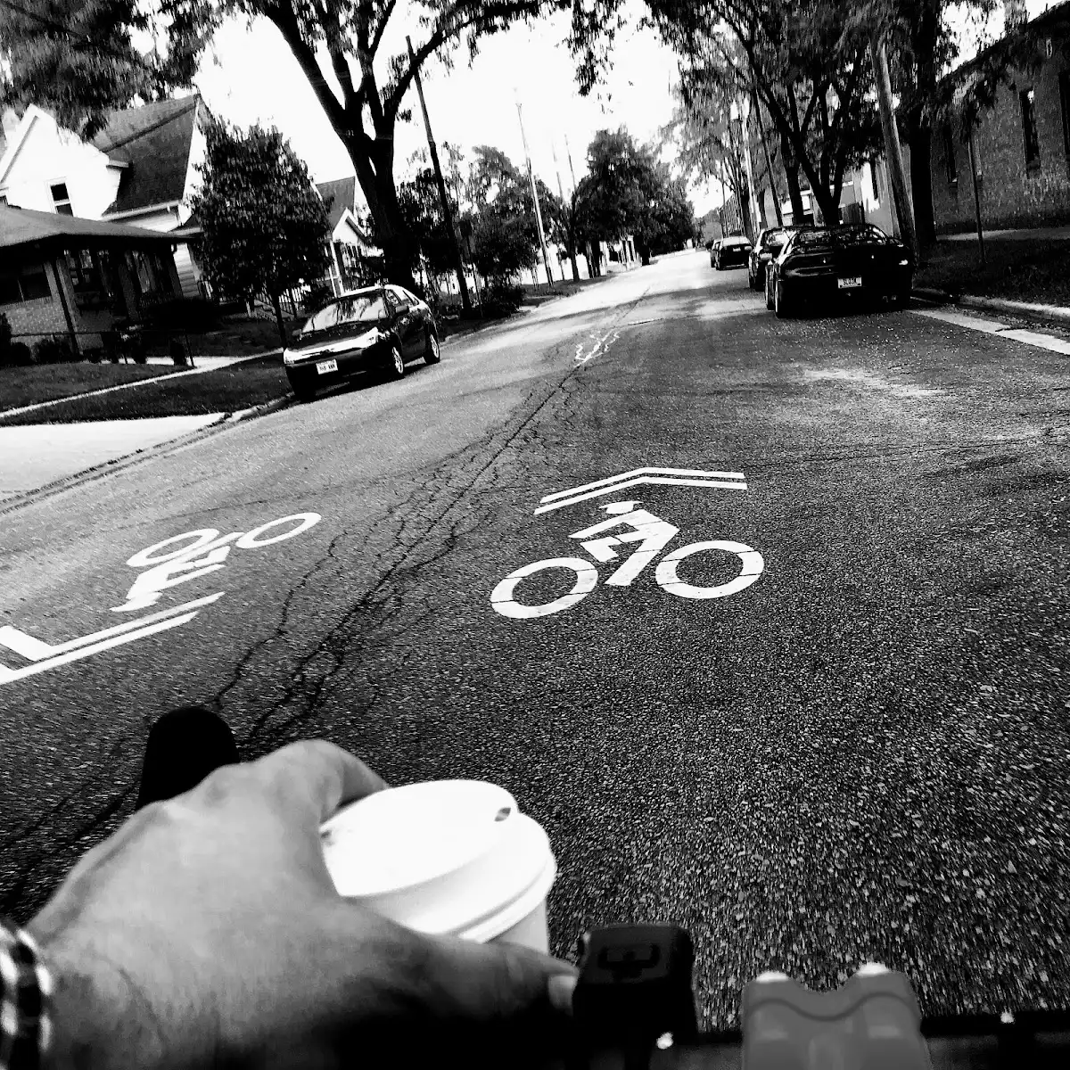 Cafe Domestique - Willy Street – photo 3