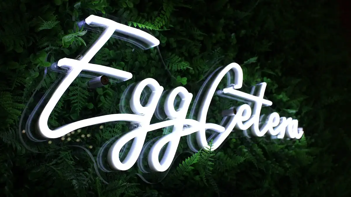 Egg Cetera – photo 4