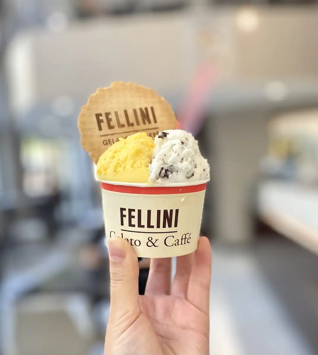 Fellini Caffè – photo 5