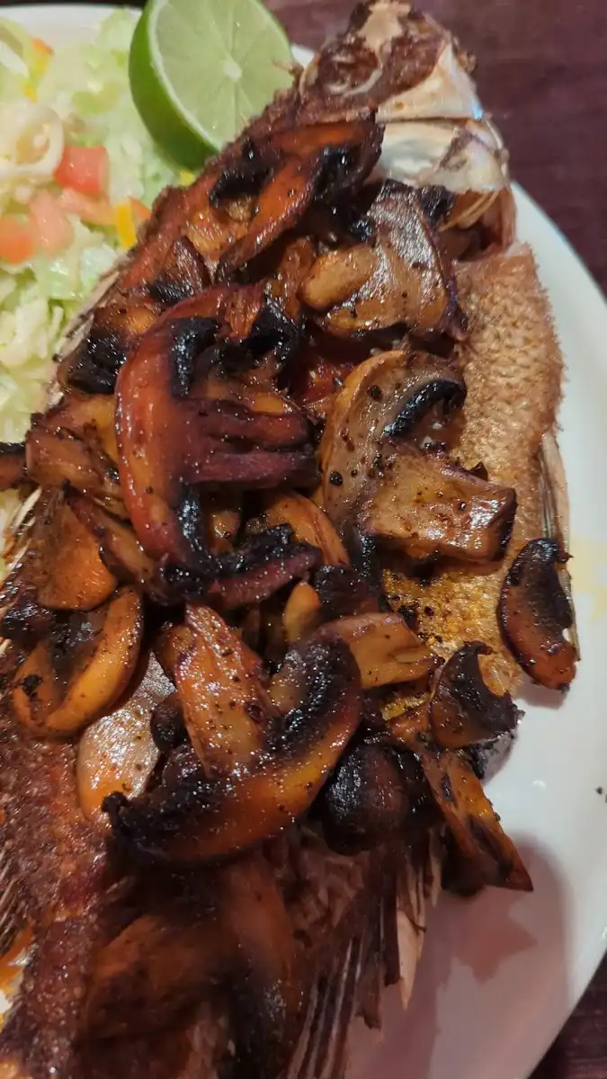 Ixtapa Grille Family Mexican Restaurant – photo 2