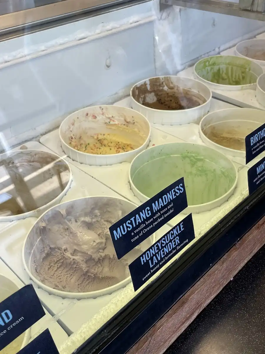 Levee Coffee & Creamery – photo 4