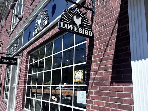 Lovebird Doylestown in Doylestown
