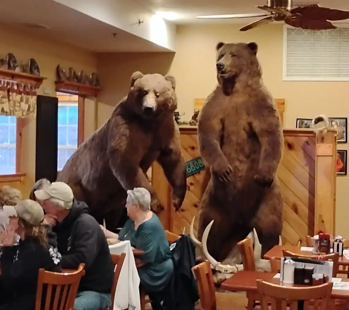 Michael's Bridge Diner – photo 4