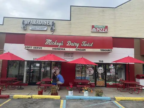 Mickey's Dairy Twist in Saline