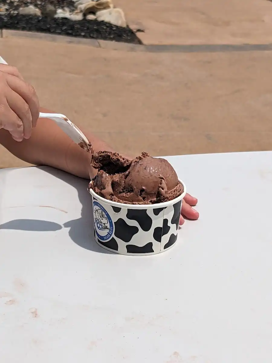 Moo-Ville Creamery In Ionia 'the Udder Store' – photo 2