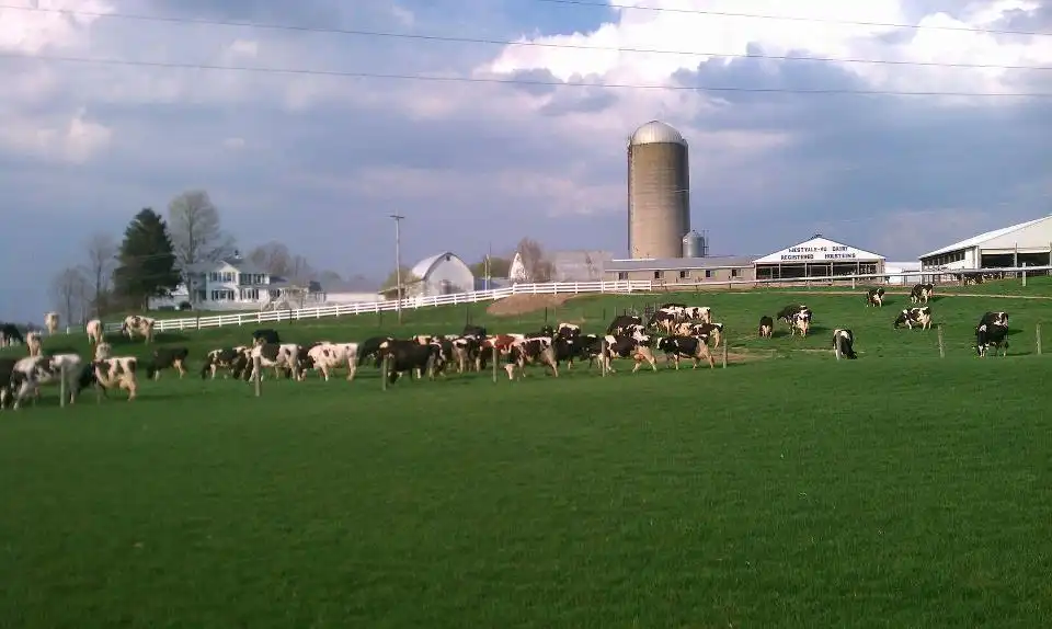 Moo-Ville Creamery In Ionia 'the Udder Store' – photo 3