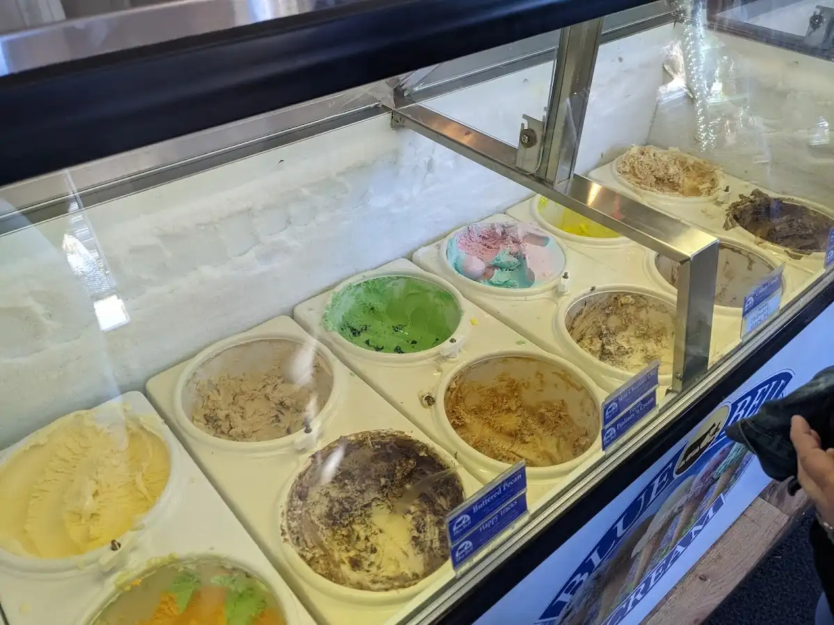 Mr Gene's Beans – photo 5