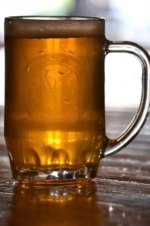 Portneuf Valley Brewing – photo 2