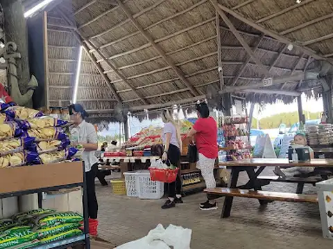 Reyes Juice Fruits And Nursery in Miami