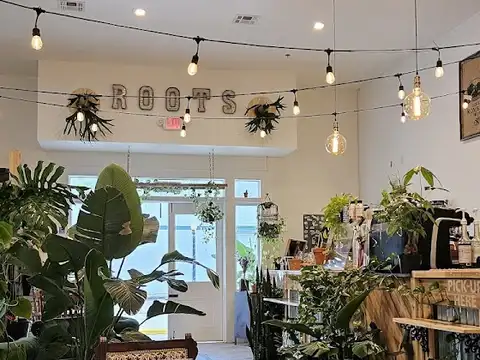 Roots Plants + Coffee in Slidell