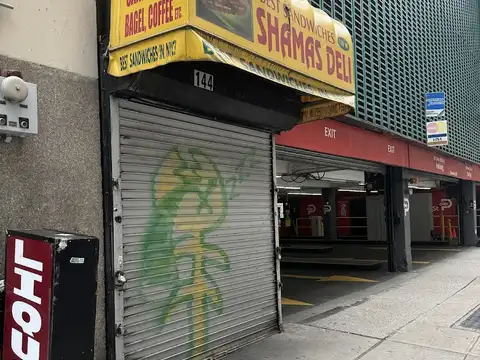 Shamas Deli in New York