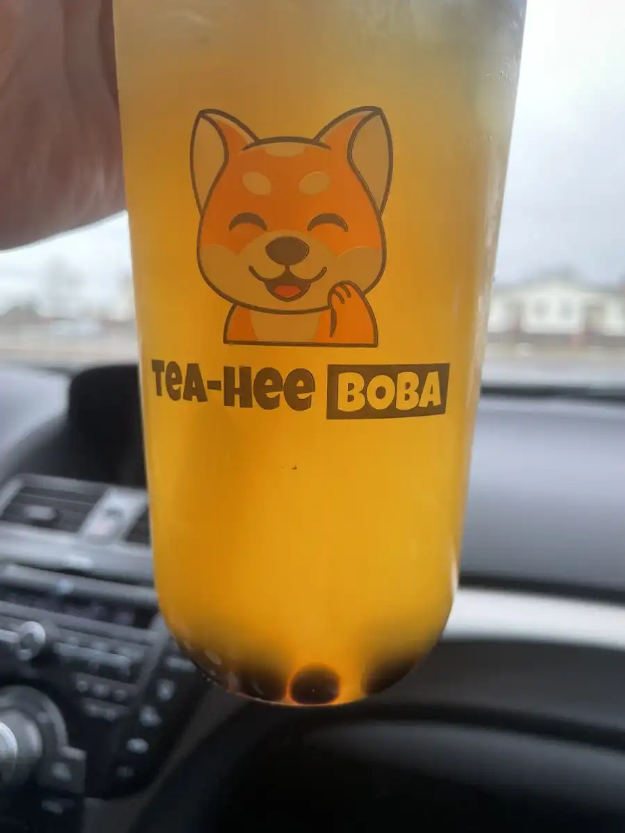 Shiba Boba Thornton – photo 5
