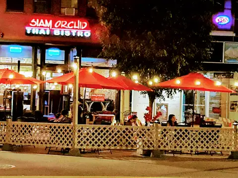 Siam Orchid Thai Bistro in Concord