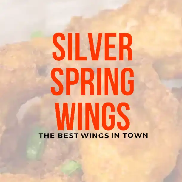 Silver Spring Wings – photo 2
