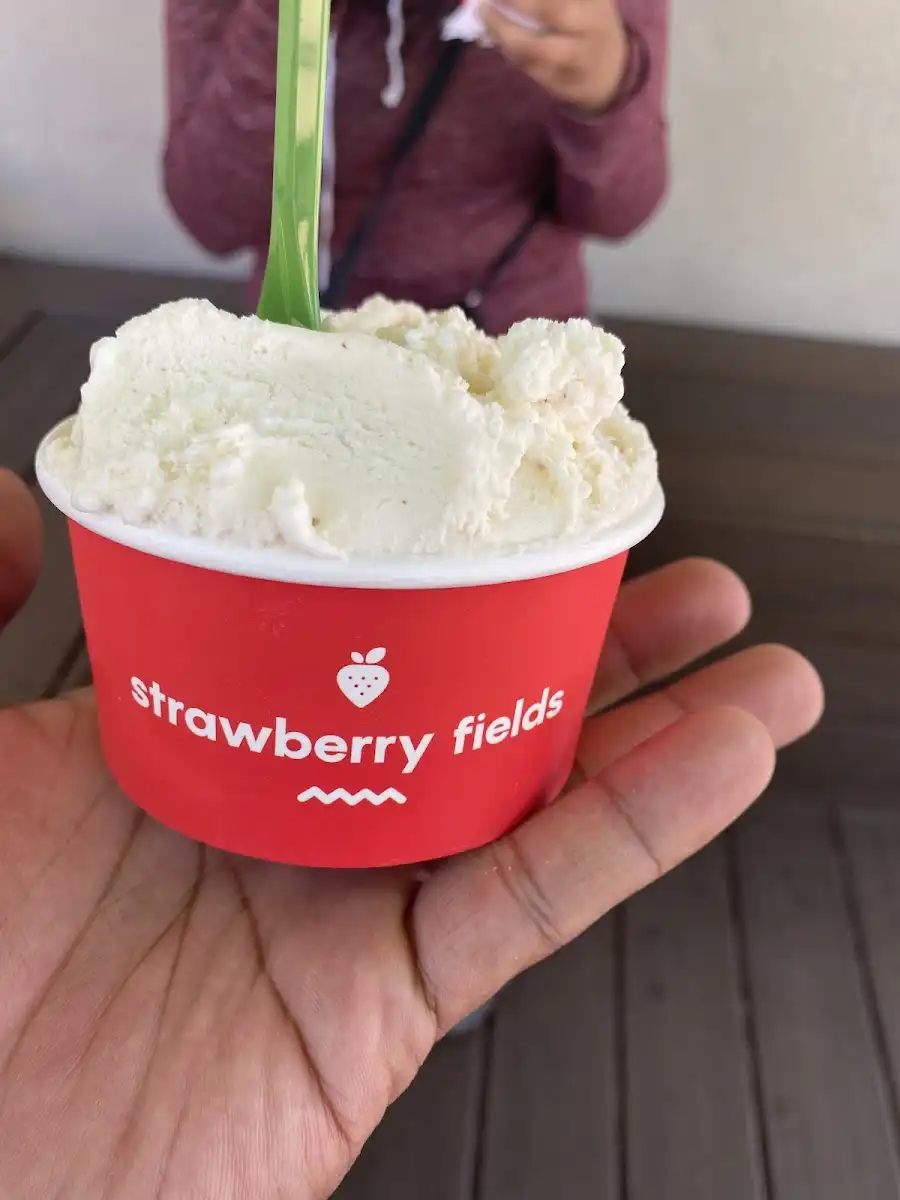 Strawberry Fields Smoothies & Gelato – photo 3
