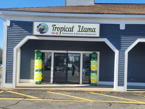 Tropical Llama in Raynham