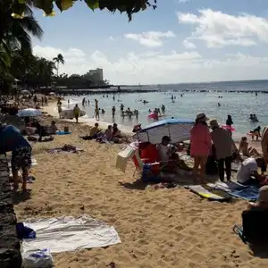 Waikiki Grass Shack – photo 5