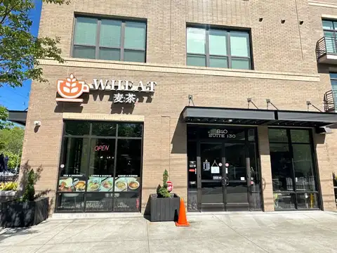 Wheat 麦茶 in Durham