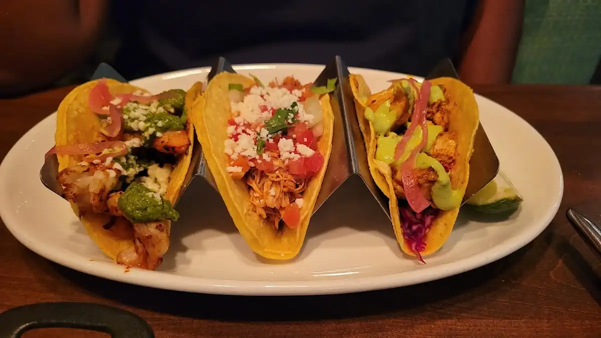 Wild Salsa – photo 5